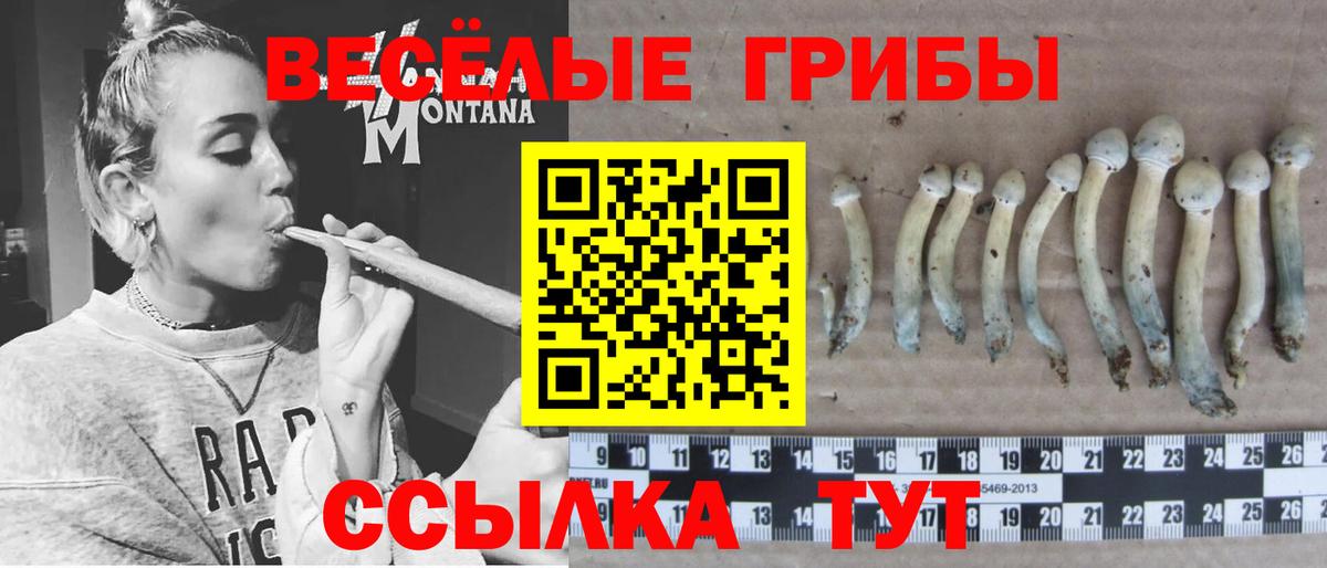 Псилоцибиновые грибы MAGIC MUSHROOMS Мыски